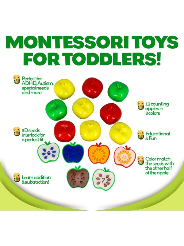 Skoolzy 44 Pc Counting Coins & Learning Set – Montessori Math Development Kit for 18 Months+